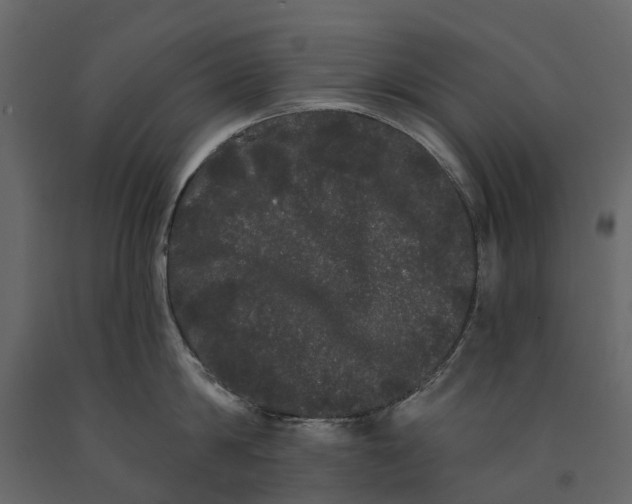 X0000091090814200708271255