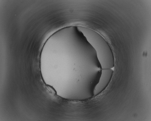 X0000091090816200708271255