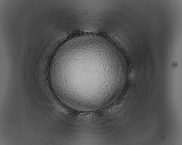 X0000091090817200708271254