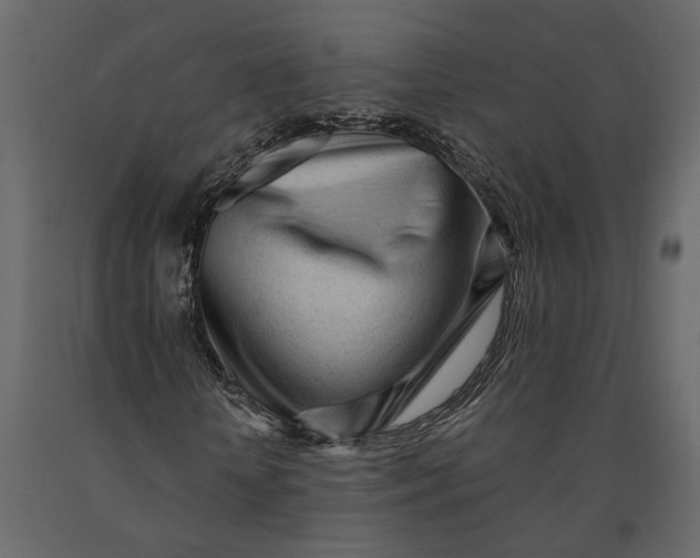 X0000091090818200708271254