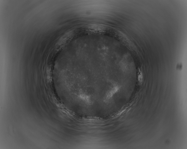 X0000091090819200708271254