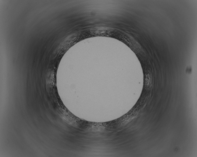 X0000091090820200708271254