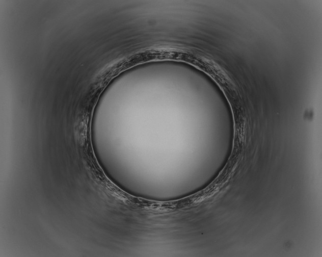 X0000091090821200708271254