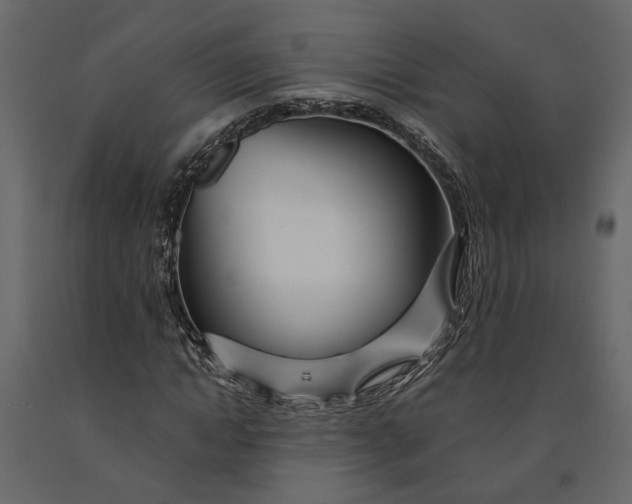 X0000091090822200708271254