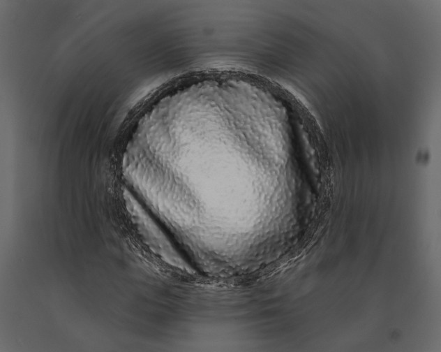 X0000091090823200708271254