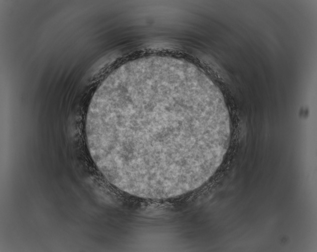 X0000091090824200708271254