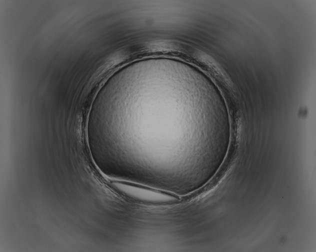 X0000091090825200708271254