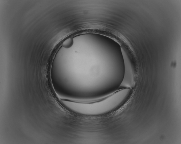 X0000091090826200708271254