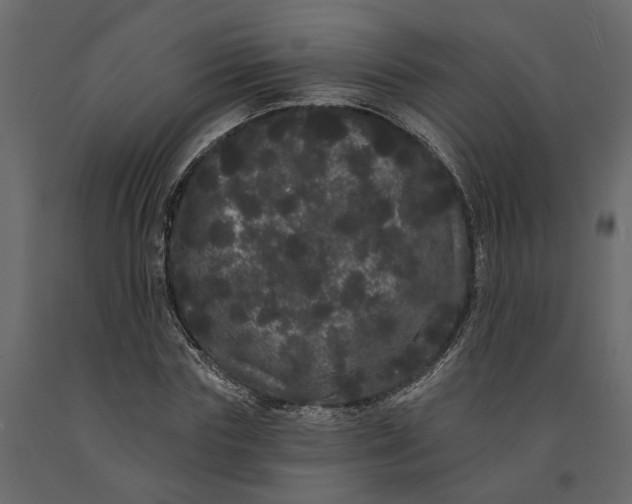 X0000091090827200708271254