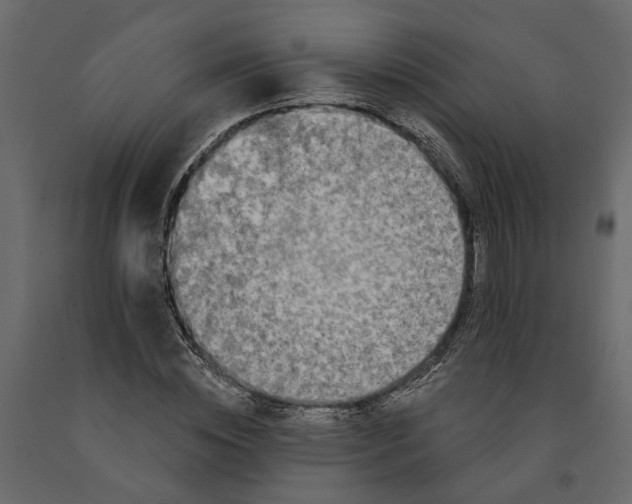 X0000091090828200708271254