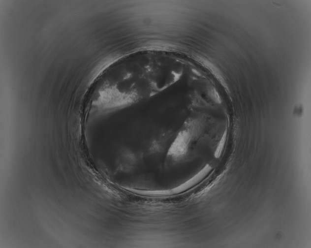 X0000091090829200708271254