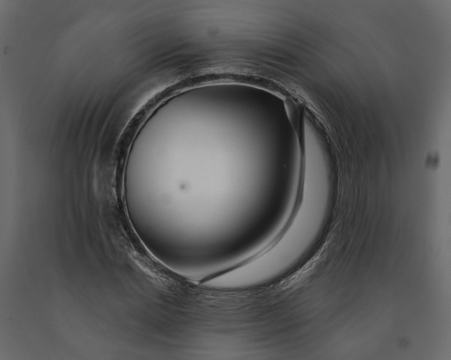 X0000091090830200708271254