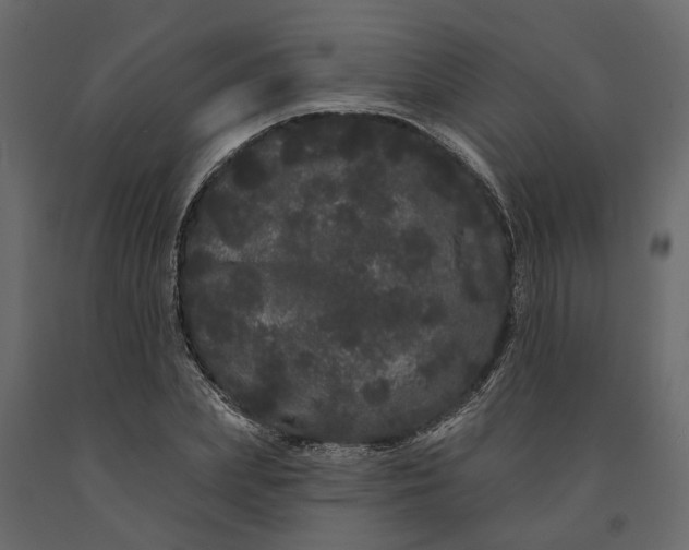 X0000091090831200708271254