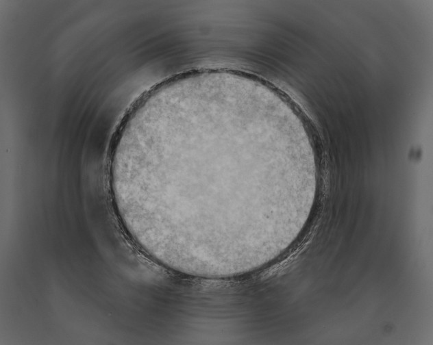 X0000091090832200708271254