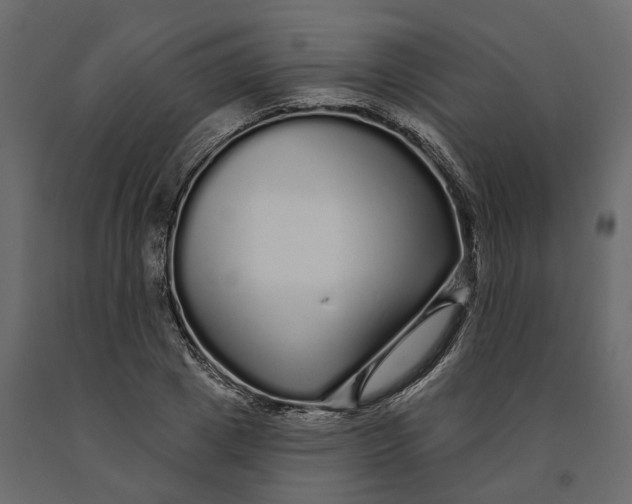 X0000091090833200708271254