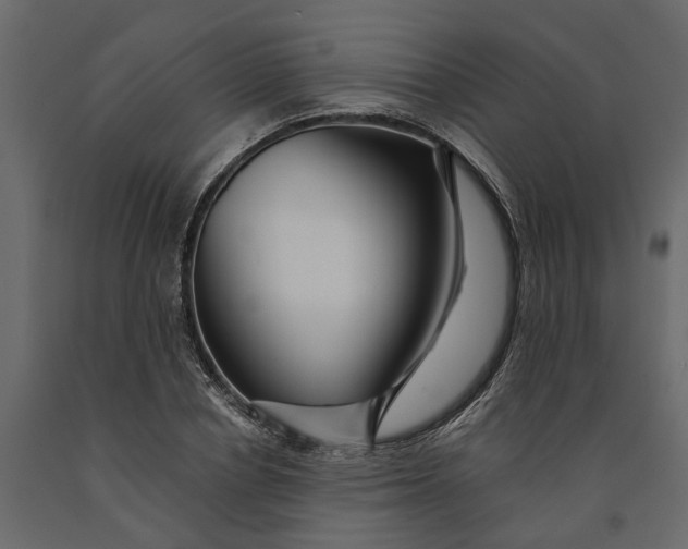 X0000091090834200708271254