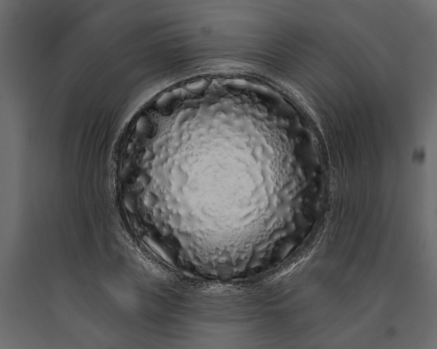 X0000091090835200708271254