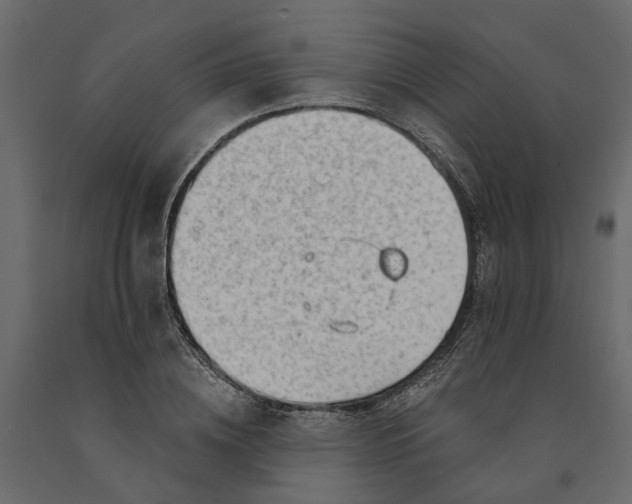 X0000091090836200708271254