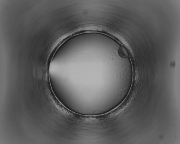 X0000091090837200708271254