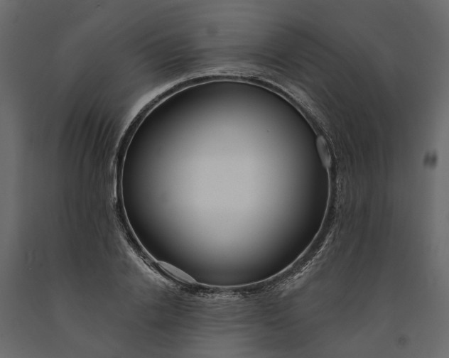 X0000091090838200708271254