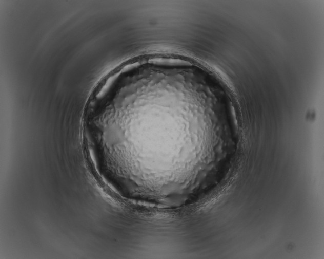 X0000091090839200708271254