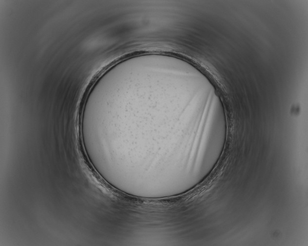 X0000091090840200708271254