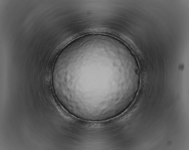 X0000091090841200708271254