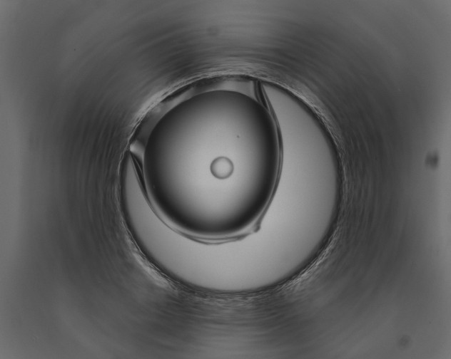 X0000091090842200708271254