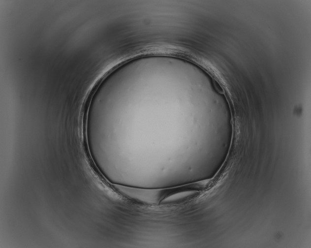 X0000091090843200708271254