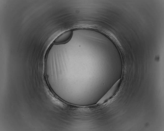 X0000091090844200708271254