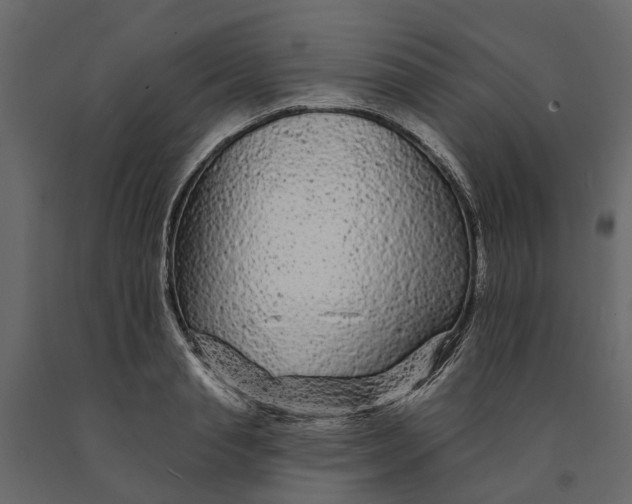 X0000091090845200708271254