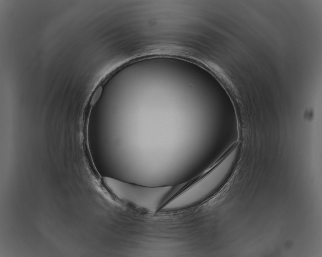 X0000091090846200708271254