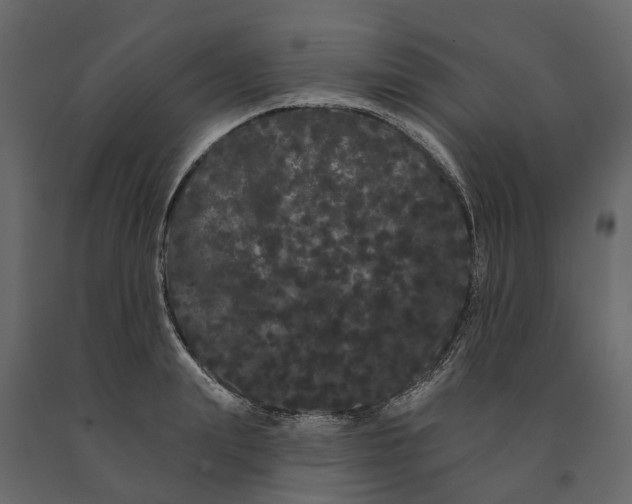 X0000091090847200708271254