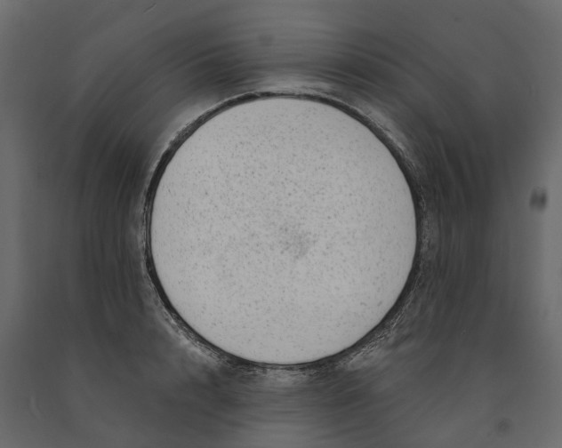 X0000091090848200708271254