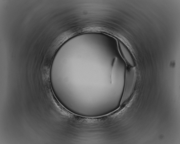 X0000091090849200708271254