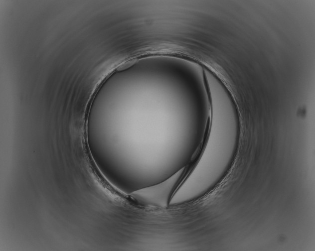 X0000091090850200708271254