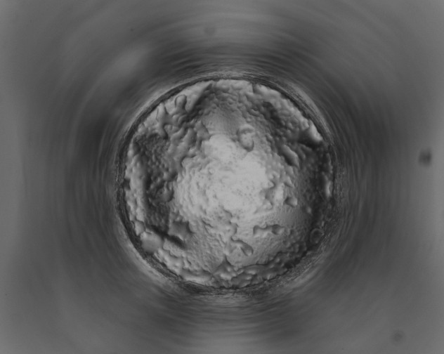 X0000091090851200708271254