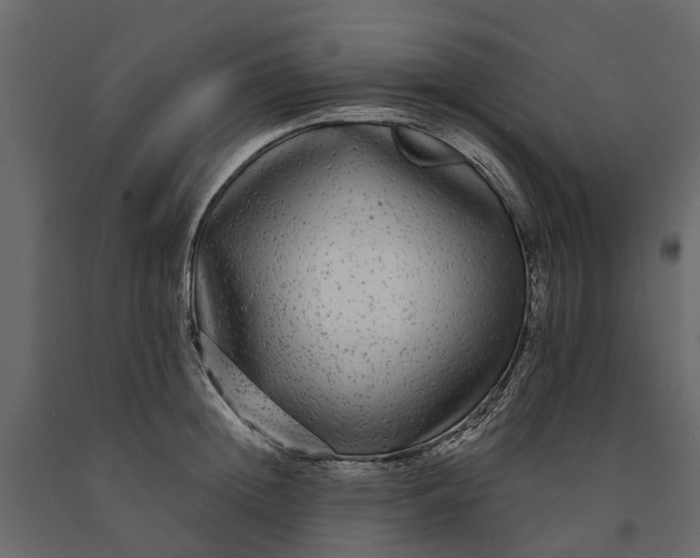 X0000091090852200708271254