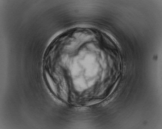 X0000091090853200708271254