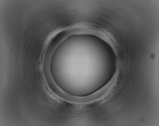 X0000091090854200708271255