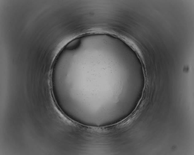 X0000091090855200708271255