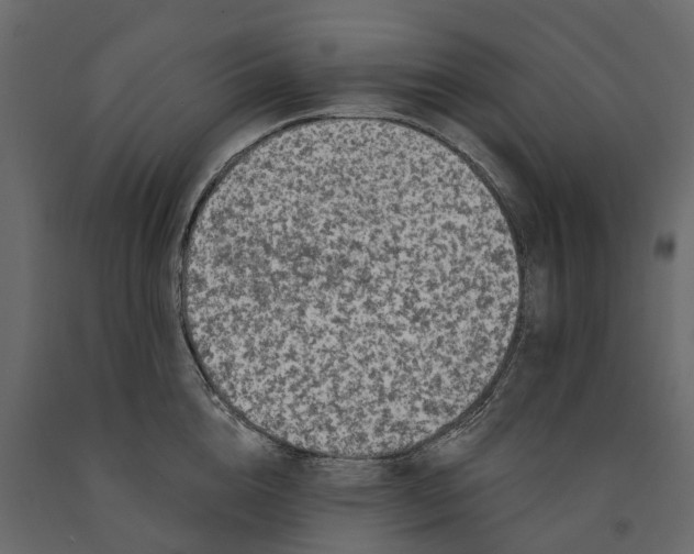 X0000091090856200708271255