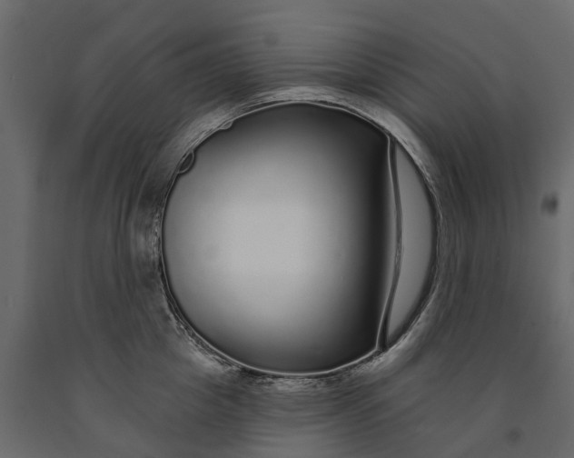 X0000091090857200708271255