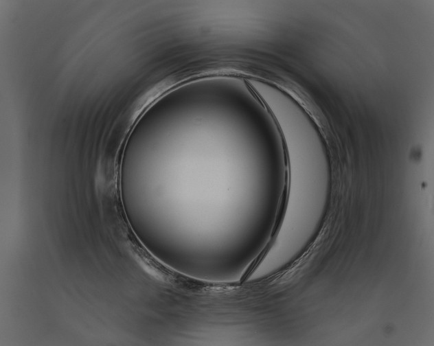 X0000091090858200708271255