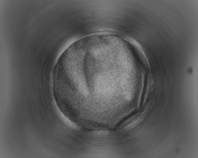 X0000091090859200708271255