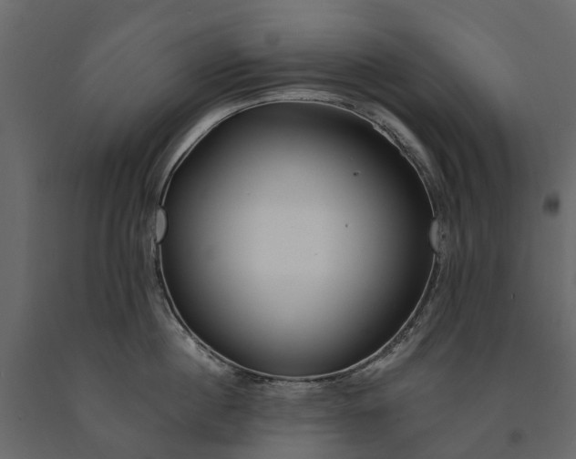 X0000091090860200708271255