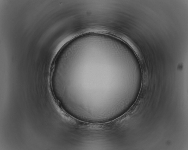 X0000091090861200708271255