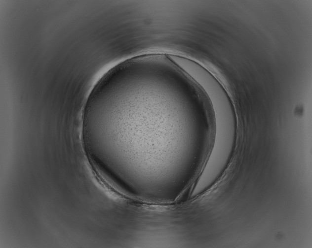 X0000091090862200708271255