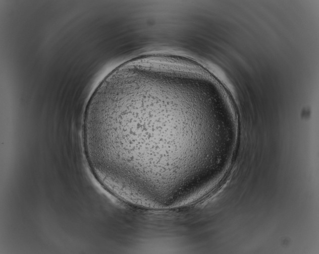 X0000091090863200708271255