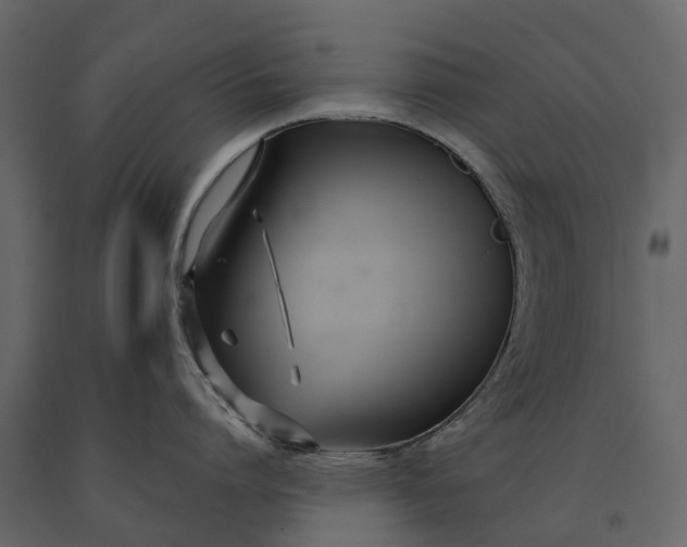 X0000091090864200708271255